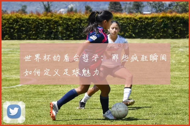 世界杯的看台哲学：那些疯狂瞬间如何定义足球魅力