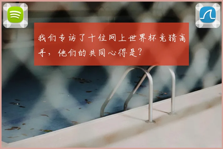 我们专访了十位网上世界杯竞猜高手，他们的共同心得是？
