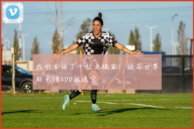 我们专访了十位老玩家：这届世界杯竞猜app就选它