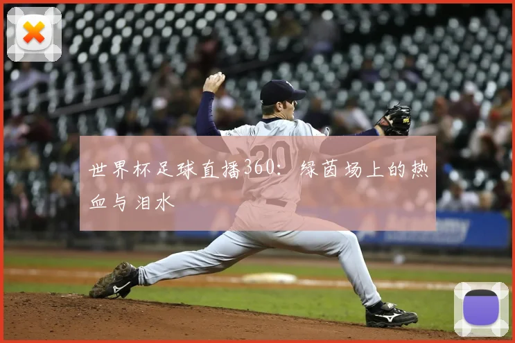 世界杯足球直播360：绿茵场上的热血与泪水
