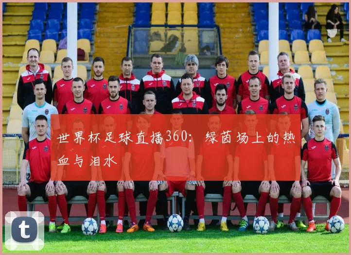 世界杯足球直播360：绿茵场上的热血与泪水