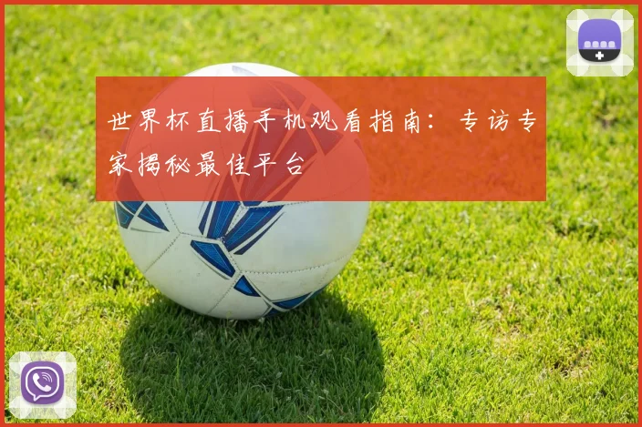 世界杯直播手机观看指南：专访专家揭秘最佳平台