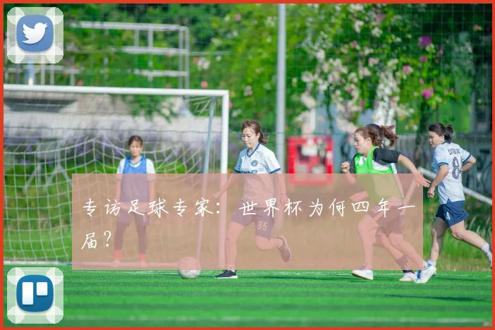 专访足球专家：世界杯为何四年一届？
