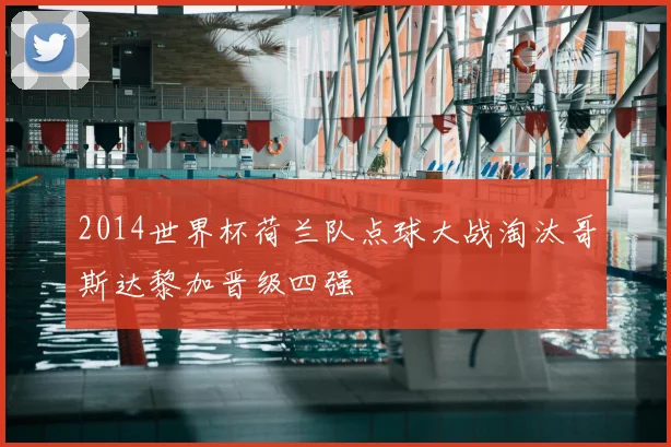 2014世界杯荷兰队点球大战淘汰哥斯达黎加晋级四强
