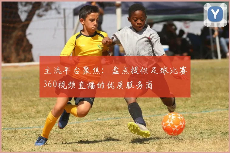 主流平台聚焦：盘点提供足球比赛360视频直播的优质服务商